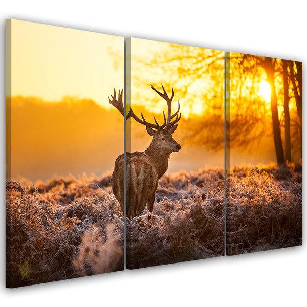 Union Rustic Leinwandbild Deer Forest Sunset Wayfair De